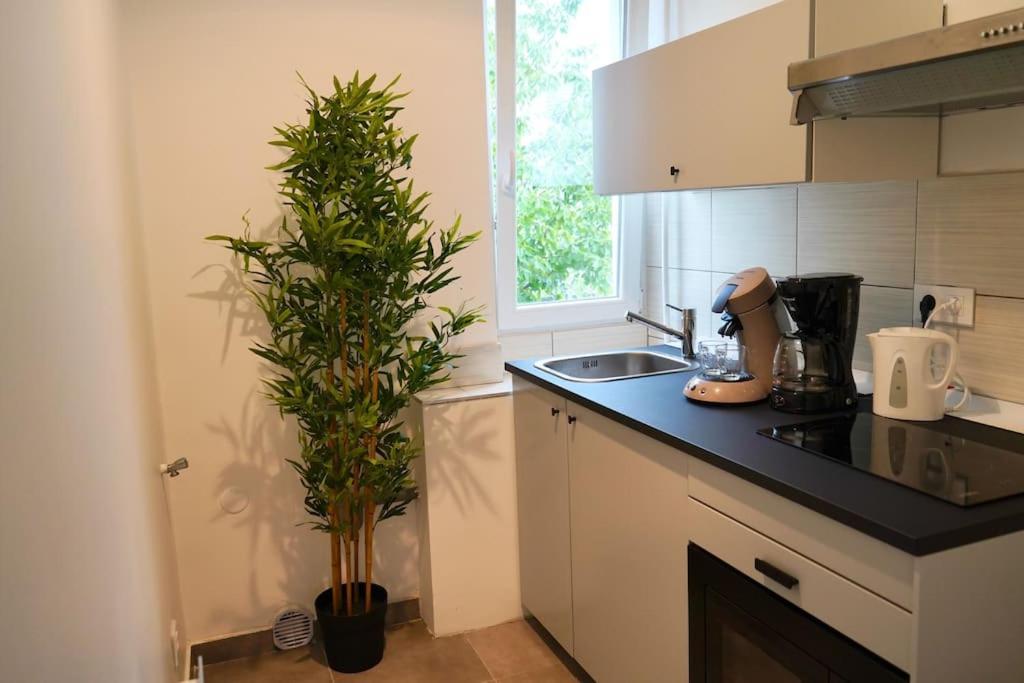 Rm-1 - Appartement F2 Au 1Er Etage Pour 1-3 Pers 뮐루즈 외부 사진
